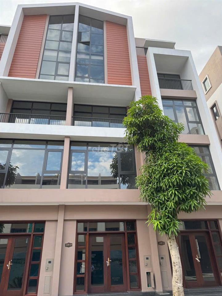 🔥 CẦN BÁN GẤP PHỐ BIỂN VINHOMES OCEAN PARK 3 – GIÁ CHỈ 7,3 TỶ 🔥