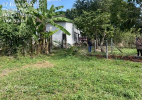 Bán đất đường gốc rưng, an nhơn tây, củ chi, giá 4,5 tỷ, dt 10x50 tổng 486 m2, có 200m thổ cư