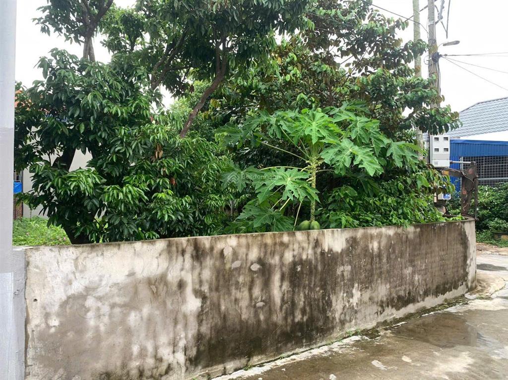 Bán đất tại tổ dân phố 2, an dương, hải phòng, 32 triệu / m2, 135 m2
