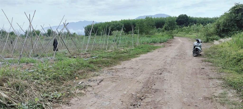 Bán đất cây lâu năm diên xuân, diên khánh chỉ 450 triệu