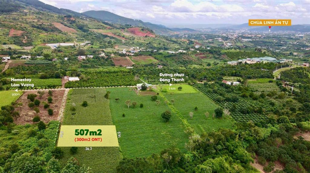 Bán 507m2 sẵn 300m2 thổ cư chỉ 950 triệu