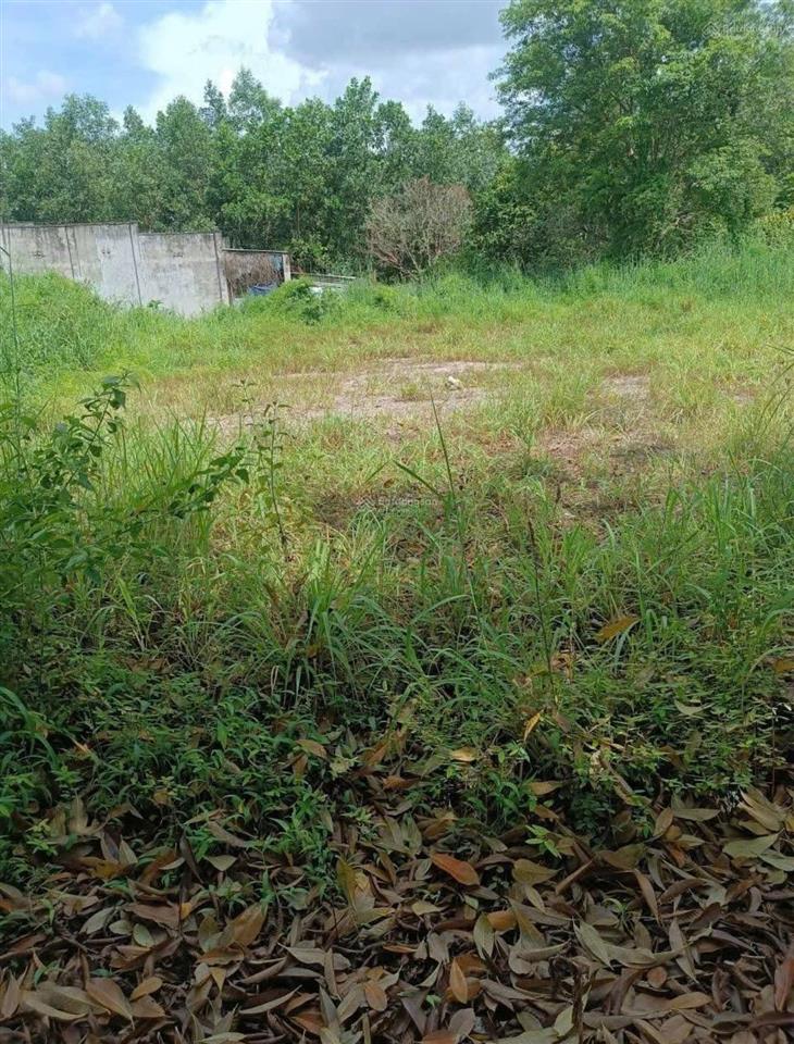 Bán đất tại xã tân hòa, 4,3 tỷ, 1508,5 m2 giá tốt hàng hiếm