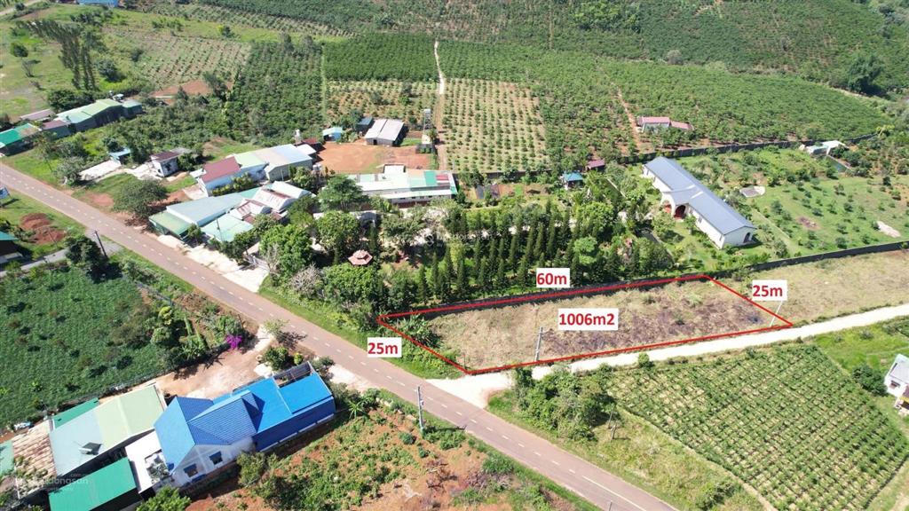Đất mặt tiền lý thái tổ, cách điểm xuống cao tốc chỉ 1km, gần thác đambri, nhà thờ la vang, bát nhã