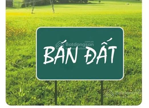 Bán đất trục kinh doanh đối diện trường mầm non kim đính