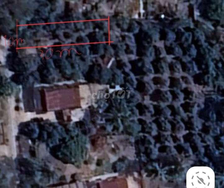 [CHÍNH CHỦ BÁN]ĐẤT VƯỜN THỔ CƯ10x30mP. LONG HOA–BAO TRỌN GÓI SỔ SÁCH