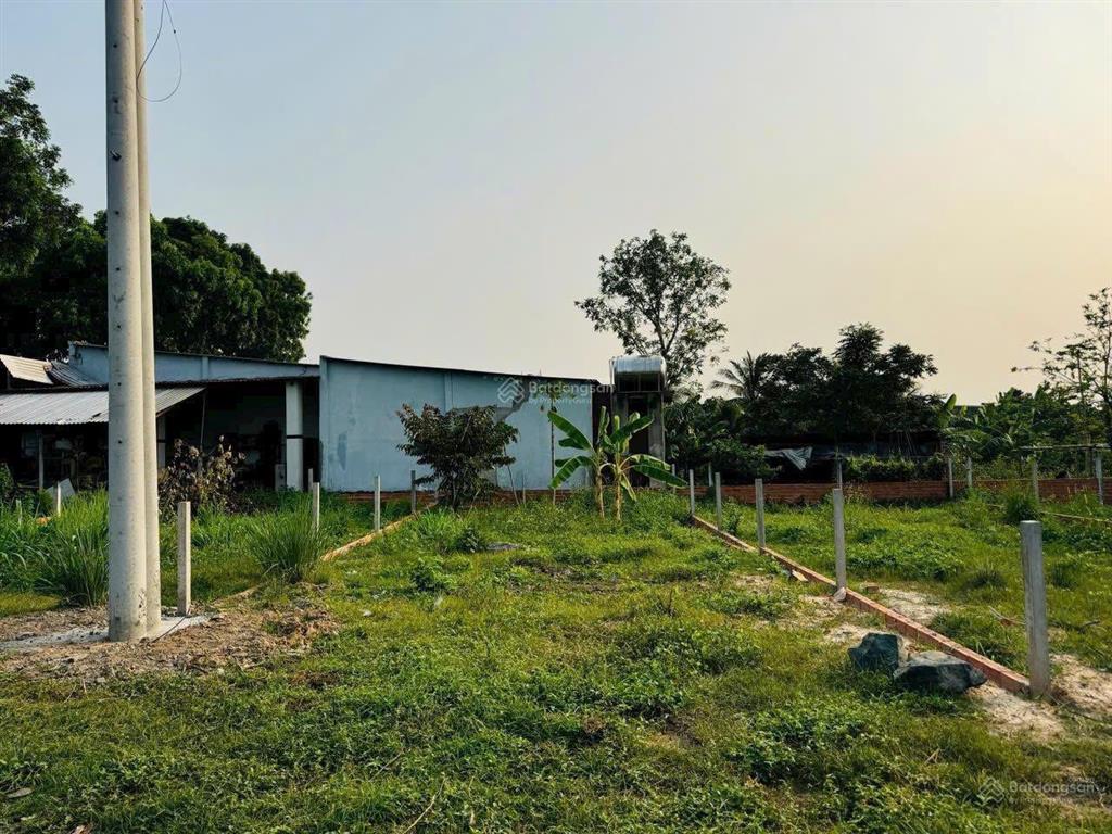 Kẹt tiền bán nhanh đất thổ 120m2, đường dt 787 thị xã trảng bàng, shr, đông dân cư