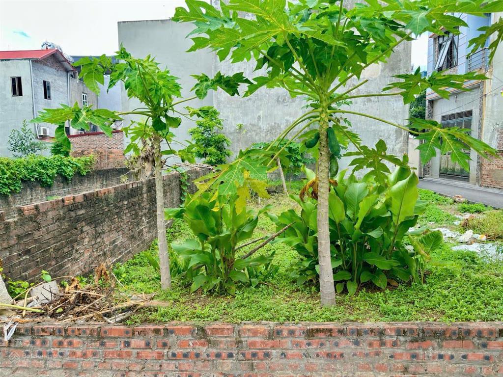 Chủ ngộp cần bán nhanh mảnh đất 44m2 vân nội đông anh, chỉ nhô 2 tỷ