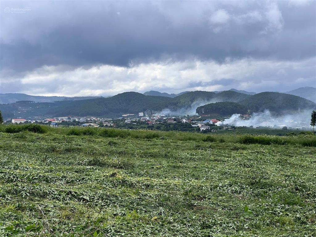 Siêu phẩm nam ban view 360, cách đà lạt 25km