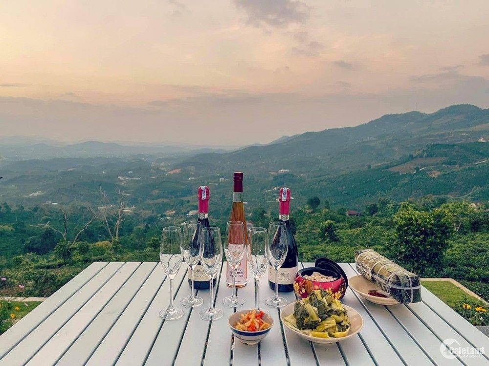 đất view hồ đồi thông khu vực bảo lâm 1000m2 giá 450 triệu