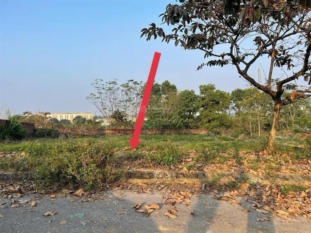 Bán đất tại phú cát, quốc oai, 4,25 tỷ, 102.5m2 tái định cư vai réo 0977 514 ***