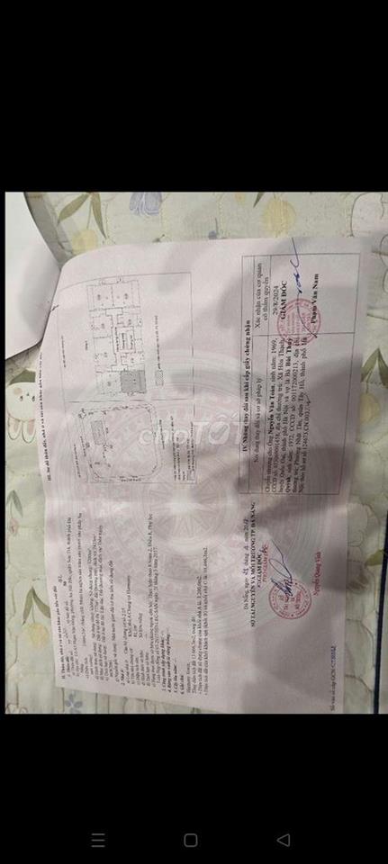 vào ở ngay và luôn