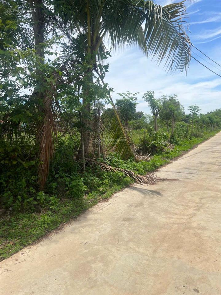 Lô đất cần bán thuộc xã phú tân (nay là phú vinh), định quán, đồng nai 145,7m2 oto thông.