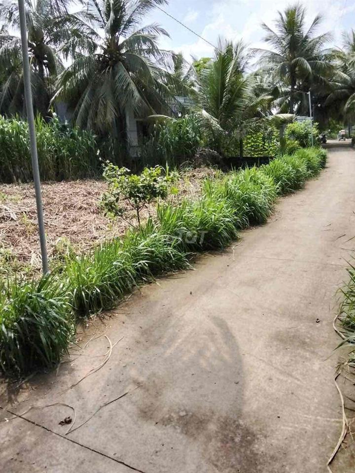 đất giá rẻ