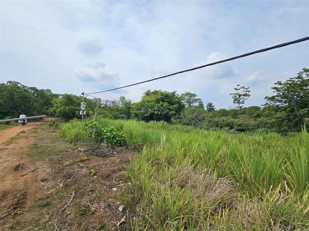 Bán lô đất view suối buôn đôn 610,8m² giá chỉ 250 triệu sổ hồng riêng, làm homestay cực đẹp