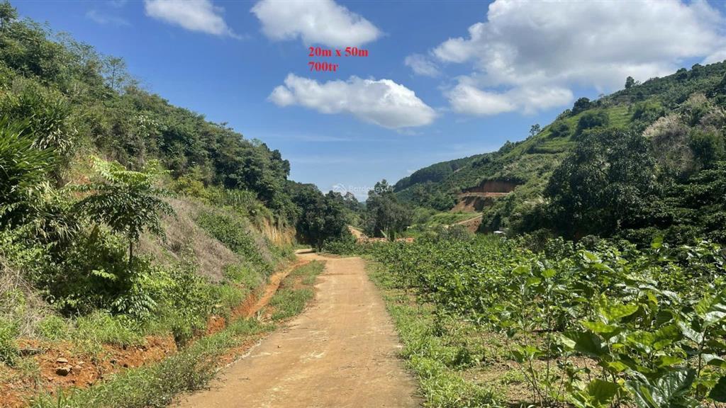 1.000m2 đất mê linh lâm hà ven đà lạt chỉ 700tr full giá (bao thuế phí), shr, đường betong lớn