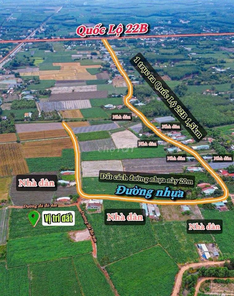 5x35 175m2 đất ở full thổ cư dân cư đông sát nhựa Tân Biên Tây Ninh