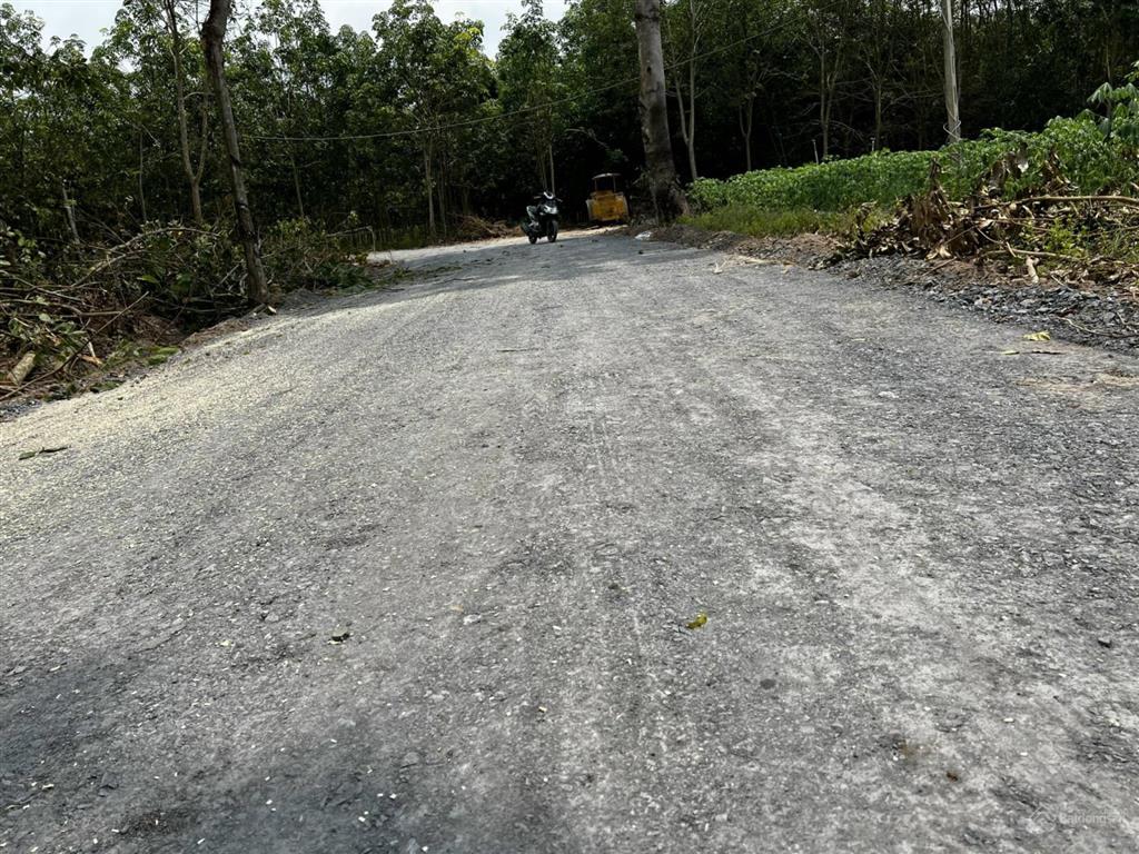 Chính chủ bán lô đất 1001m2 vị trí đẹp ấp thạnh phú, xã tân hiệp mới, tân châu, giá cực tốt