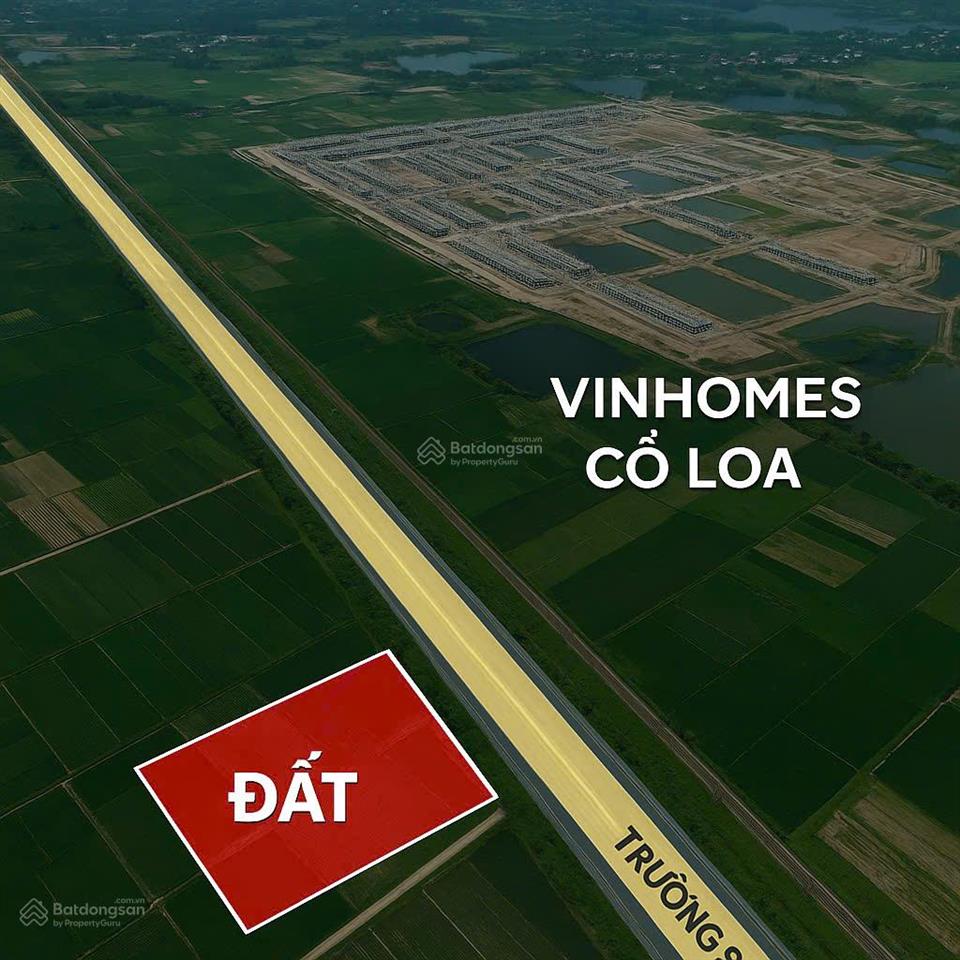 Bán đất thương mại siêu hiếm quy hoạch 536 tầng giá chỉ 35 triệu/m2 đối diện vinhomes cổ loa