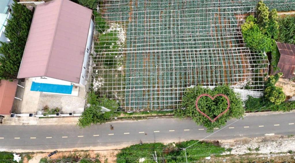 Cần bán gấp đất mt đa phú đà lạt, giá chỉ 9tr/m2 mặt tiền nhựa thuận tiện kinh doanh lưu trú