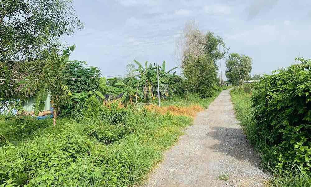 {GẤP} CẦN BÁN ĐẤT ĐẸP THÔN ĐẠI MỸ, ĐẠI LỘC