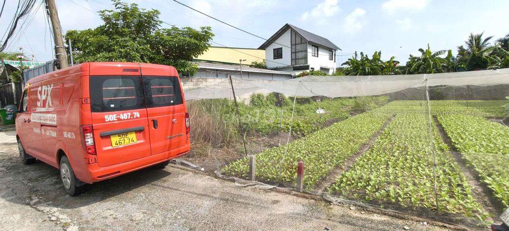 Đất thổ cư 1/Bùi Thị Lùng-Thới Tam Thôn-Hóc Môn.Dt 8x30~239m2~5,6ty