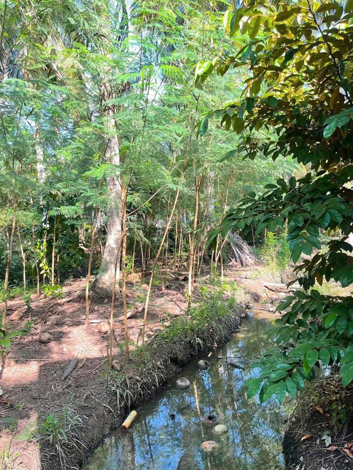 ĐẦU TƯ SINH LỜI - Chính Chủ Cần Bán Đất Vườn Tại 172 Ô4 Khu 1, Thị trấn Chợ Gạo, Tiền