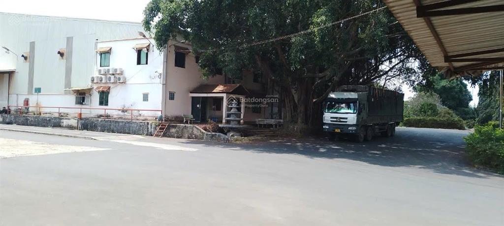Bán gấp kho, nhà xưởng tại kcn tân an, phường tân an, tp. buôn ma thuột, 70 tỷ, 23218 m2
