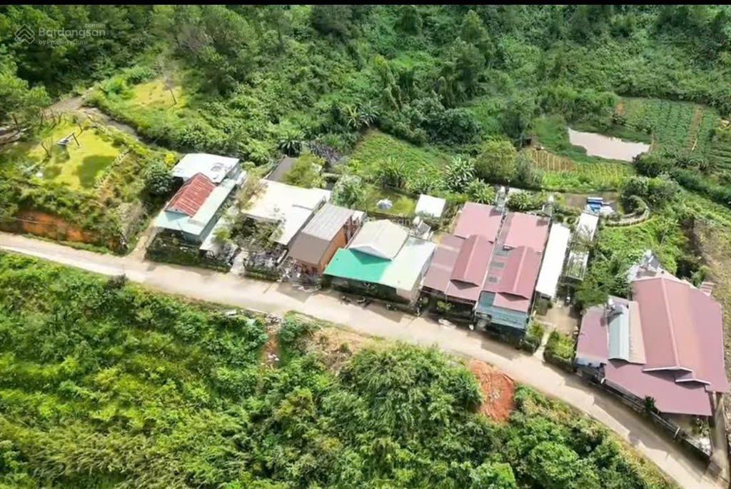 Bán đất đồi đường đống đa đà lạt 10.500m2 có 300m2 thổ cư view cáp treo, mặt tiền khủng