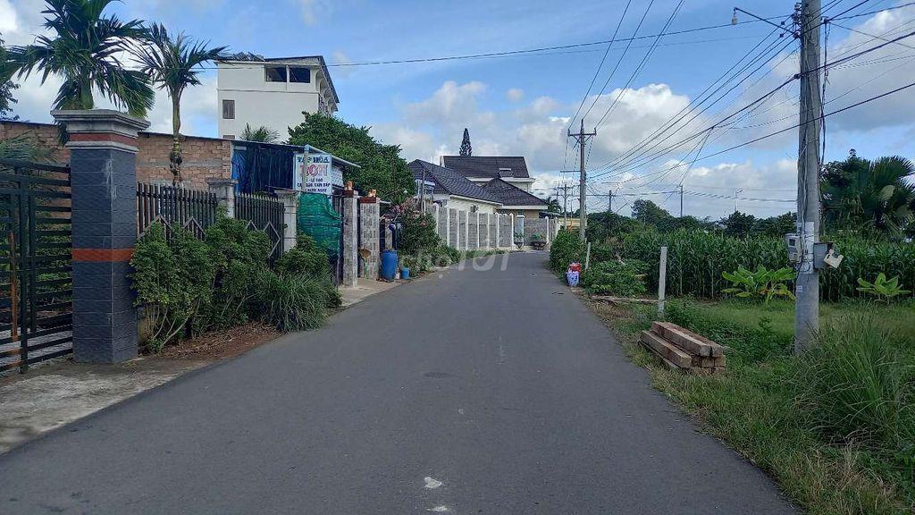 Đất đẹp xã Xuyên Mộc Tp.Hồ Chí Minh