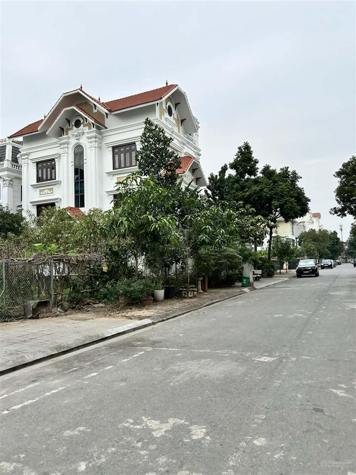 Bán đất biệt thự khu đấu giá 31ha trâu quỳ/gia lâm 236m2 đường to vị trí đẹp kinh doanh