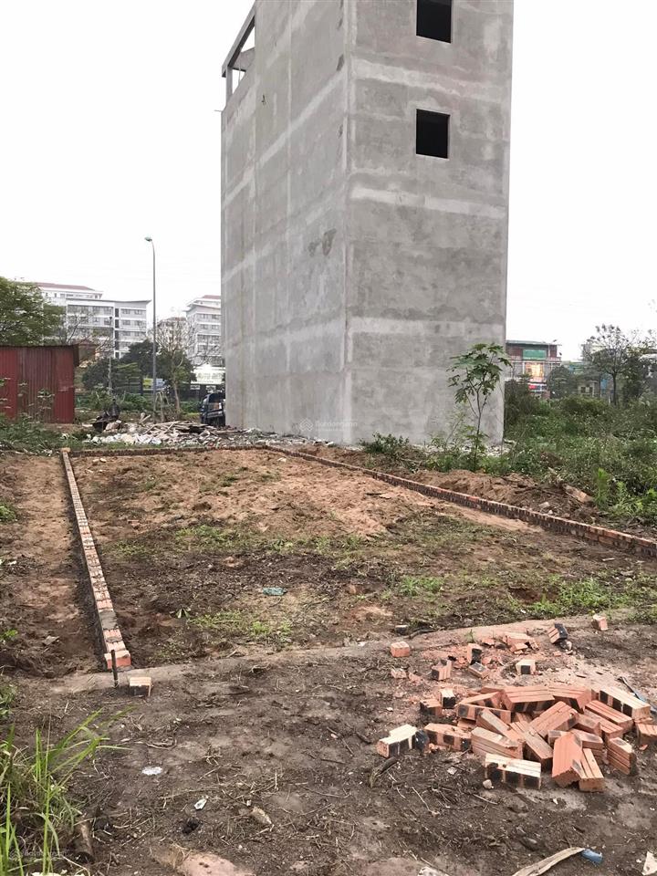 Bán đất phân lô trâu quỳ, gia lâm, khu tái định cư 7.2ha 60m2 không lỗi, giá tốt.