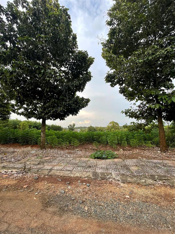 Bán đất p. tân thành hồ chí minh / giá 880 triệu (sẵn 100m2 thổ cư)