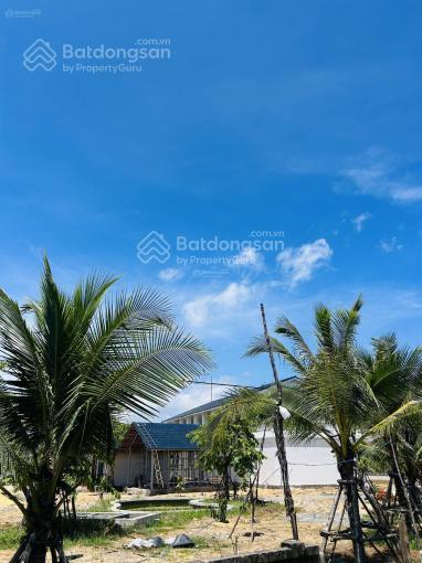 Bán lô đất view biển bình châu, bình sơn, quảng ngãi, 345m² giá chỉ 5.8 tỷ