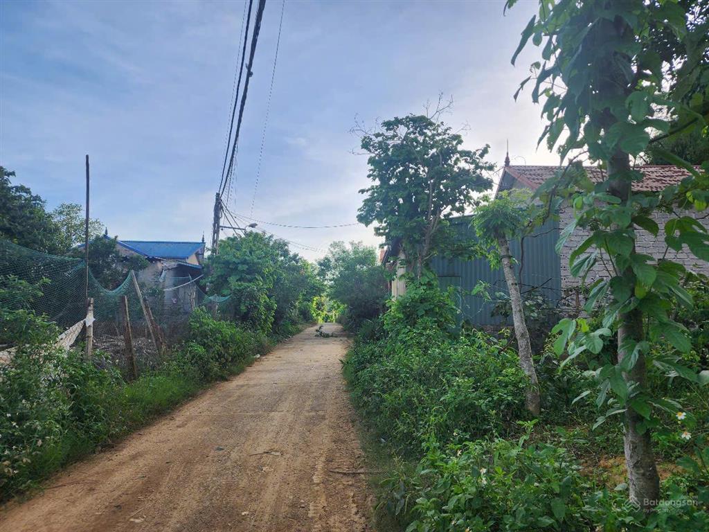Chính chủ bán 750 m2, tdp tám ba, phường vân sơn, sơn la
