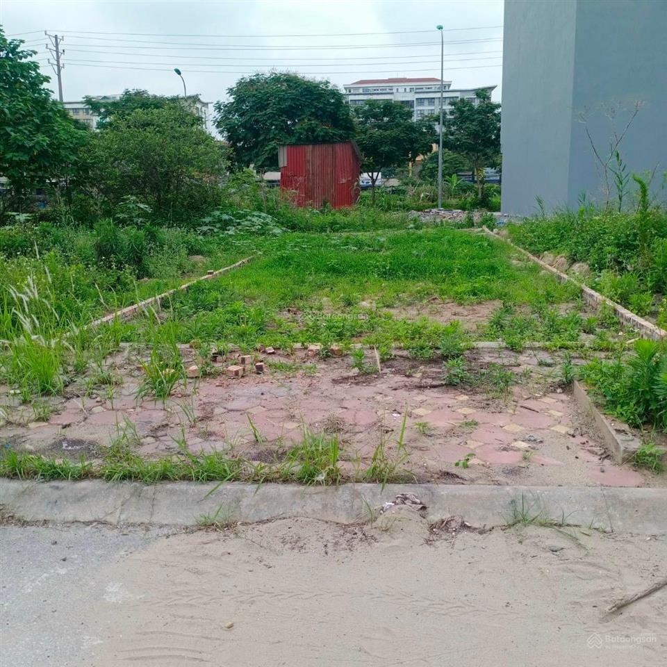 Bán đất trâu quỳ 79.7m2 mặt tiền 5.25m view vườn hoa, khu tái định cư giá đầu tư. 0982 852 ***