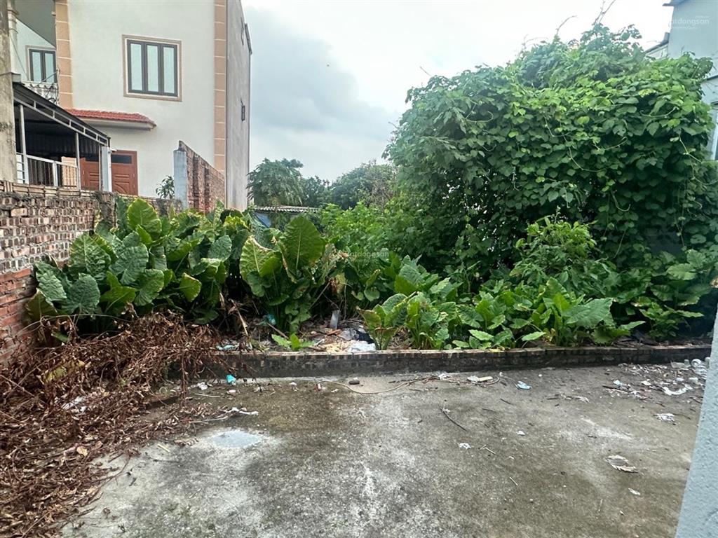 Bán đất tại kim hồ, gia lâm, 3 tỷ, 100m2, mặt tiền 5m, ngõ 3m, pháp lý đầy đủ, ô tô, tầm tiền