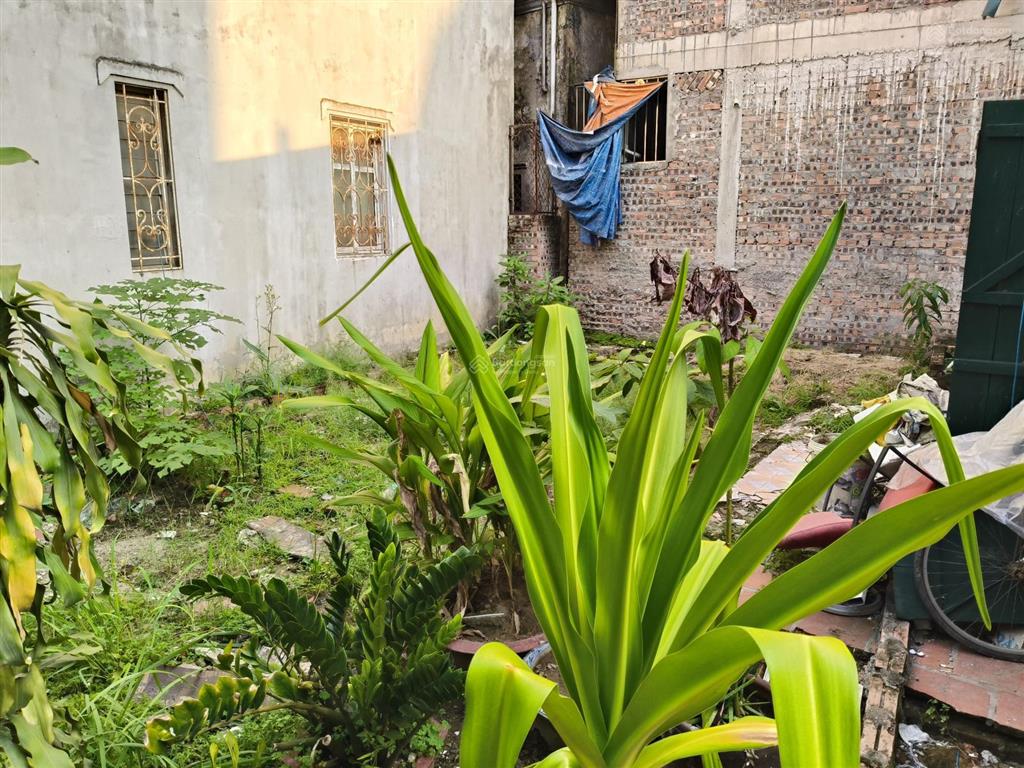 Bán đất phú thượng tây hồ 35m² chỉ hơn 5 tỷ cách ô tô tránh 40m chủ nợ ngân hàng phải bán gấp