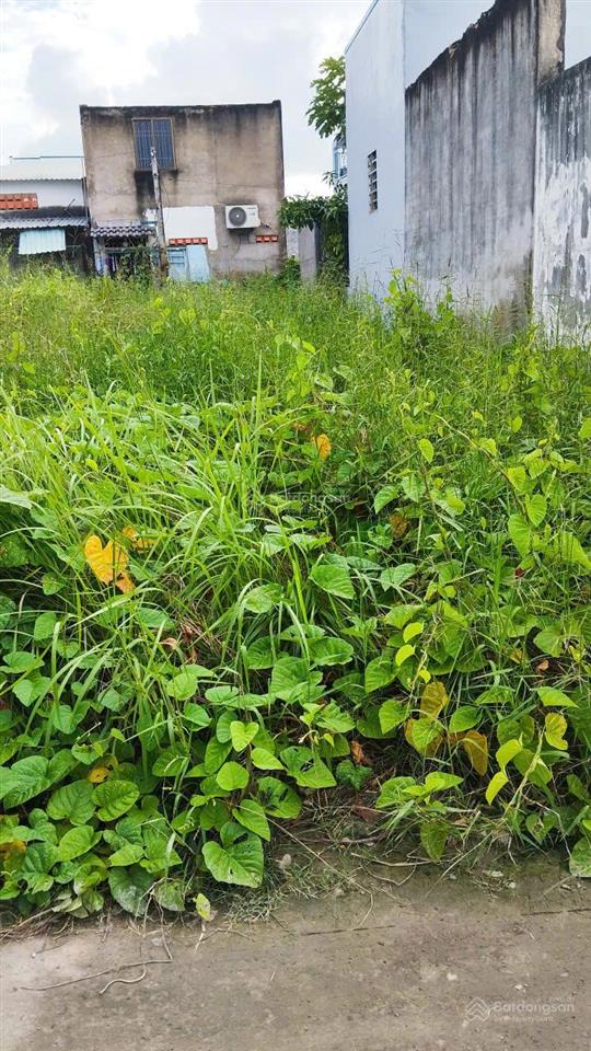 Tôi bán lô đất ở gần ngã 3 tân kim, diện tích 80m2, shr full thổ cư, cách ql50 1km giá 650 triệu