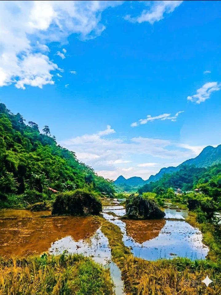 Siêu phẩm nghỉ dưỡng "tọa sơn ngoạ thủy" mảnh đất phong thủy vượng khí