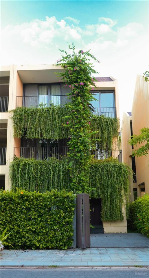 Thanh toán 50% nhận ngay căn villa trung tâm hội an cho thuê 80tr / tháng