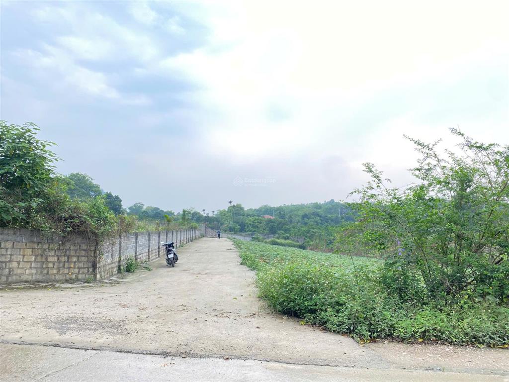 Cần bán lô góc 4200m2 bám trục chính xóm đá bạc, liên sơn mặt tiền dài 70m, làm nghỉ dưỡng quá đẹp
