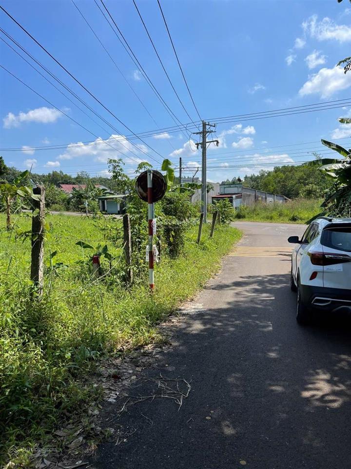 Ngộp ngân hàng cần sang nhanh nền đất mặt tiền đường nhựa, cách chợ chỉ 2km