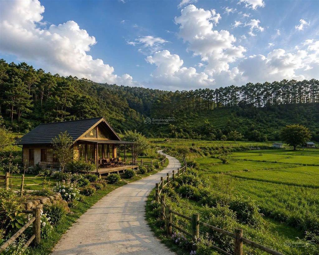 Đất gần trung tâm măng đen giá khá tốt ạ