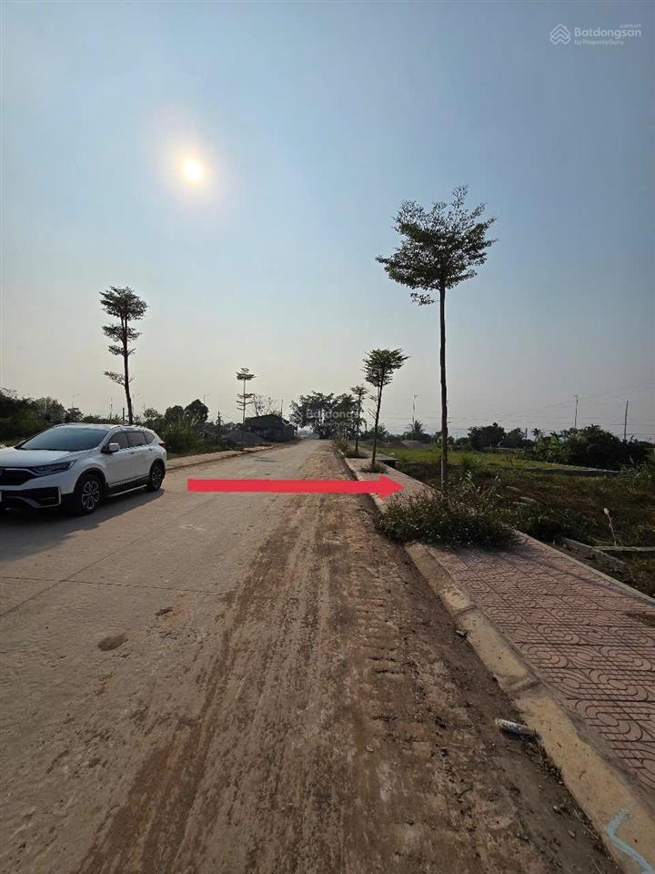 Chủ bán đất phân lô đấu giá phúc sơn hà nội