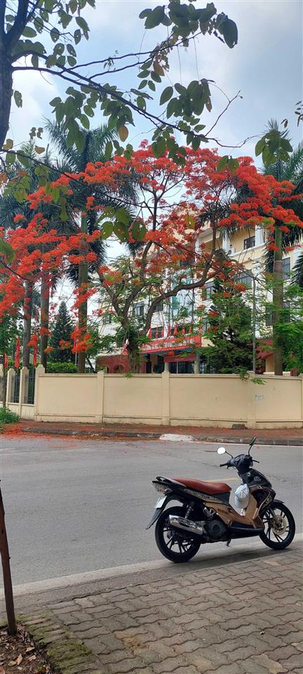 Bán đất có vị trí đẹp tại phân lô tứ hiệp 150m2 giá bán 32,5 tỷ đồng. xin lộc 0962 658 ***