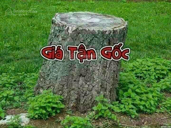 Ccg cần bán hơn 2000m2 mặt tiền mai chí thọ, đất sạch, full thổ cư. lô hiếm có còn lại ở mct