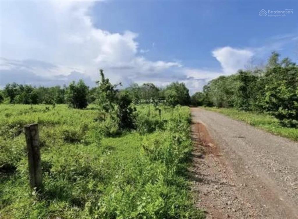 Đất nông nghiệp hòa thắng gần bàu trắng, cách biển 57km