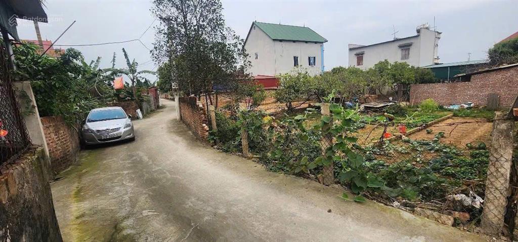 Chính chủ cần bán mảnh đất 77,6m2 xuân đồng tân minh sóc sơn giá nhú 20tr/m2