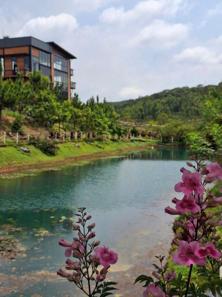 Bán đất tại phường 2, Bảo Lộc, 600 triệu, 150 m2, view đẹp hàng hiếm