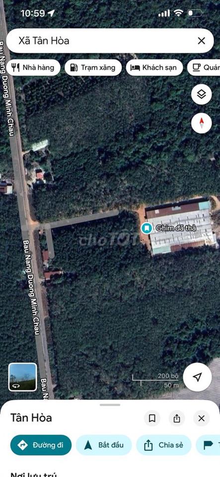 Bán đất và nhà xưởng cưa xẻ gỗ cao su